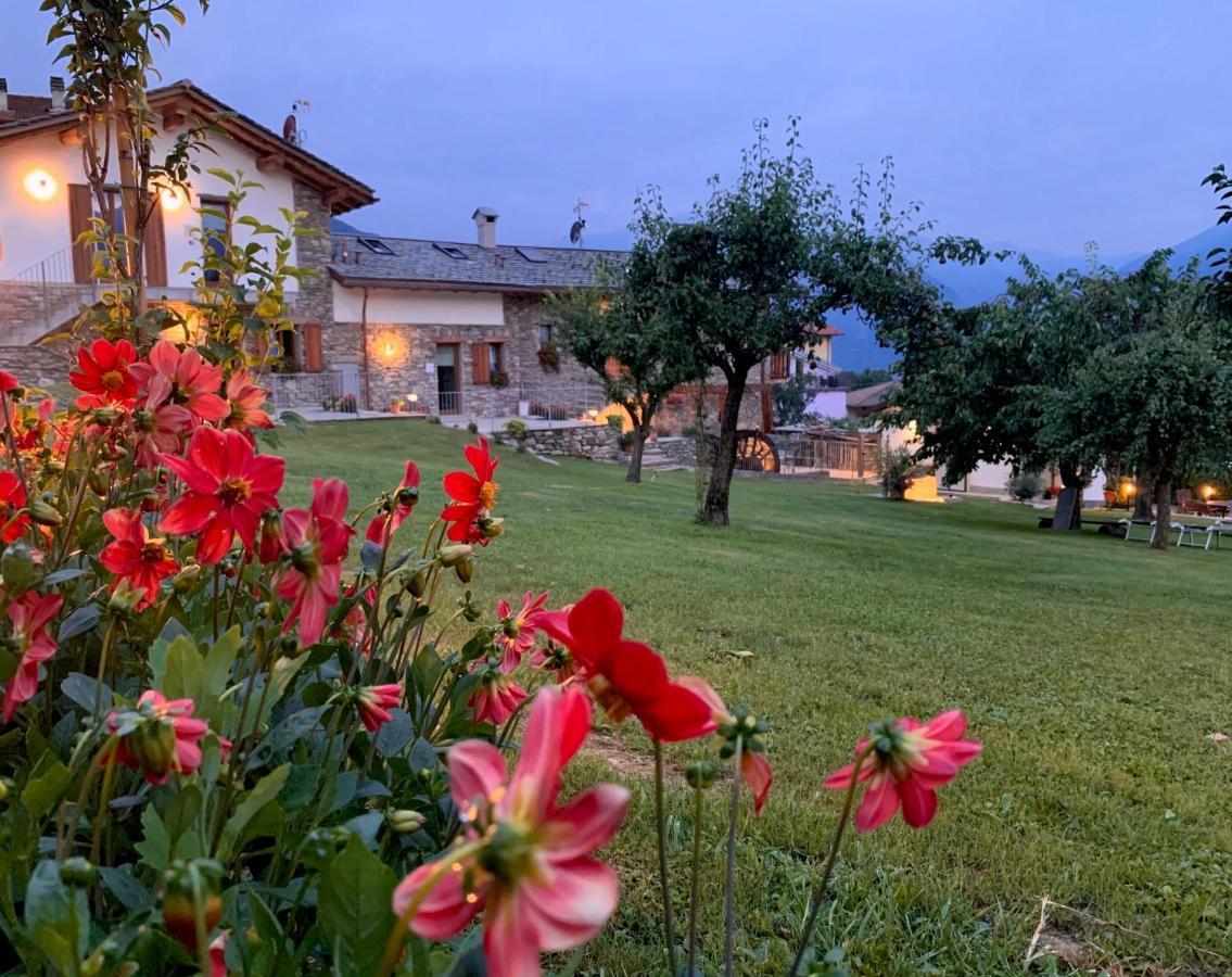 La Volta - Lake Como Heritage Home In Molino Maufet Watermill - Patio On The Garden 콜리코 외부 사진