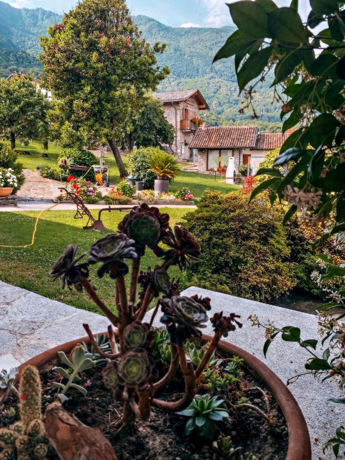 La Volta - Lake Como Heritage Home In Molino Maufet Watermill - Patio On The Garden 콜리코 외부 사진